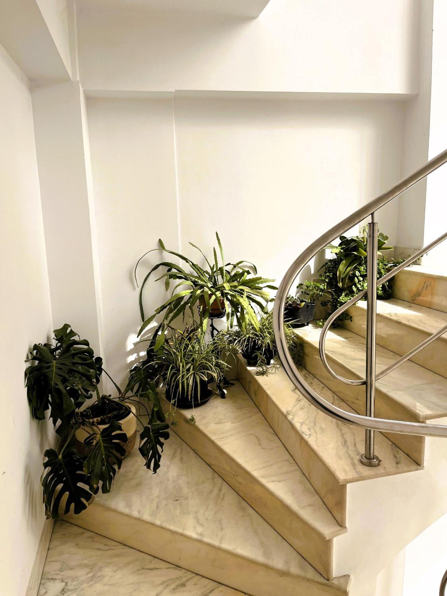 Complex Meridian Западен Ефорие Екстериор снимка